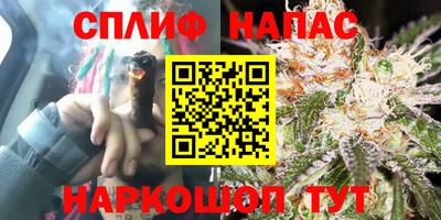 дмт Можга